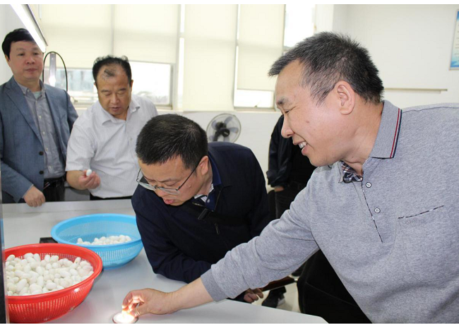 图片11.png