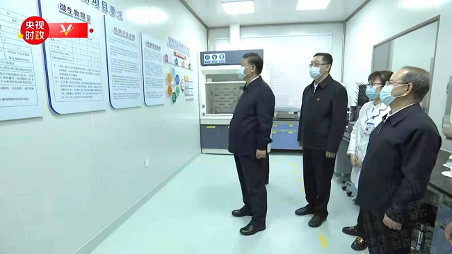 图片33.png